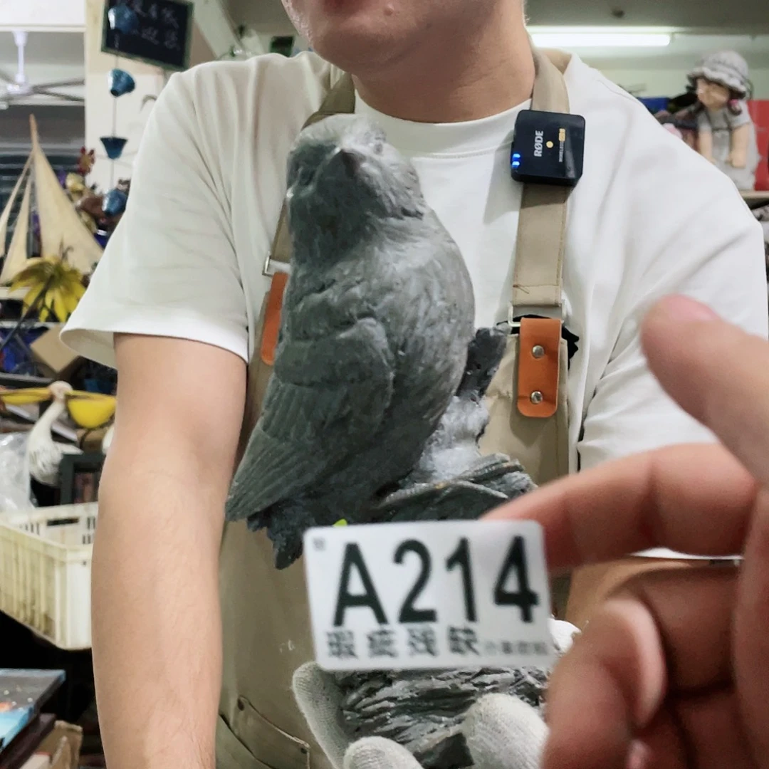 红陶20CM（含）-50CM（不含）