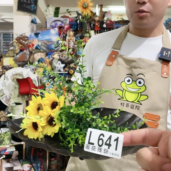 红陶20CM（含）-50CM（不含）