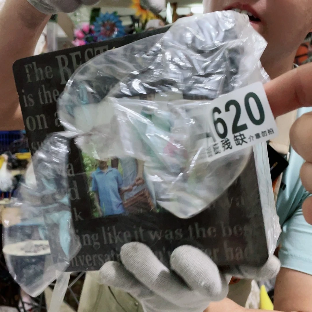 红陶20CM（含）-50CM（不含）