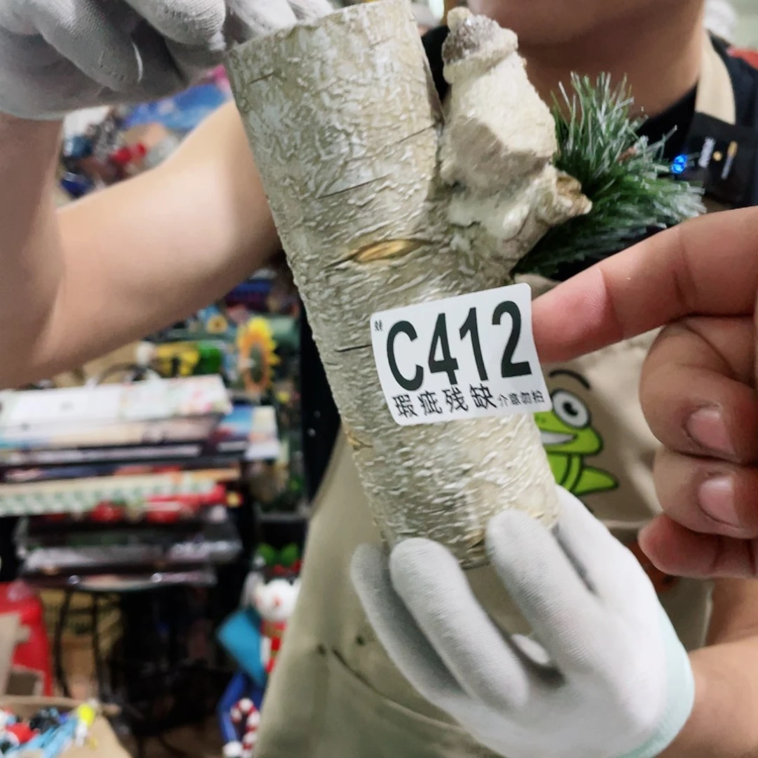 红陶20CM（含）-50CM（不含）