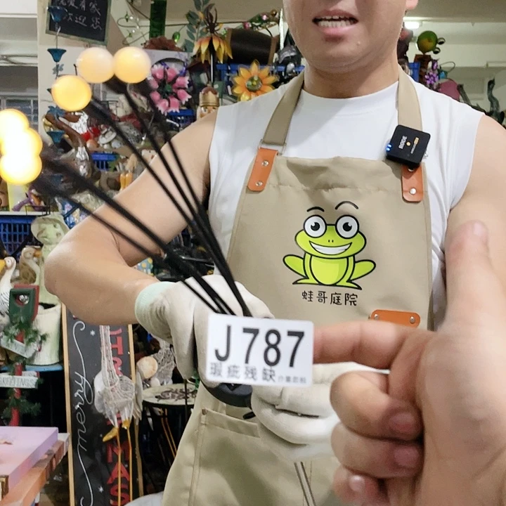 红陶20CM（含）-50CM（不含）