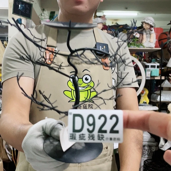 红陶20CM（含）-50CM（不含）