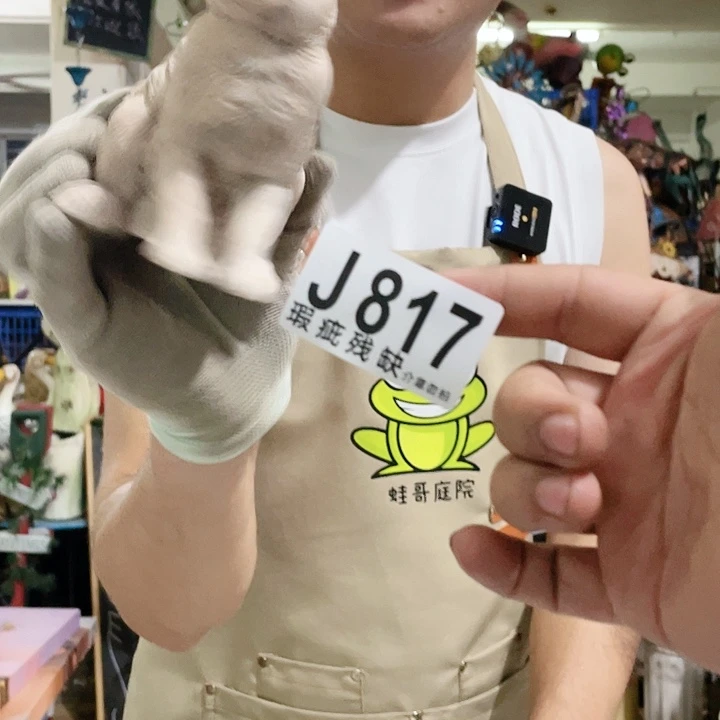 红陶20CM(含)-50CM(不含)