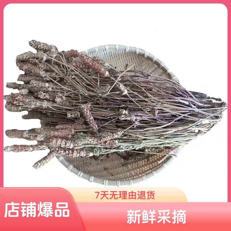 【牟支书推荐】 夏枯草野生今年新货新鲜采摘野菜自然晒干