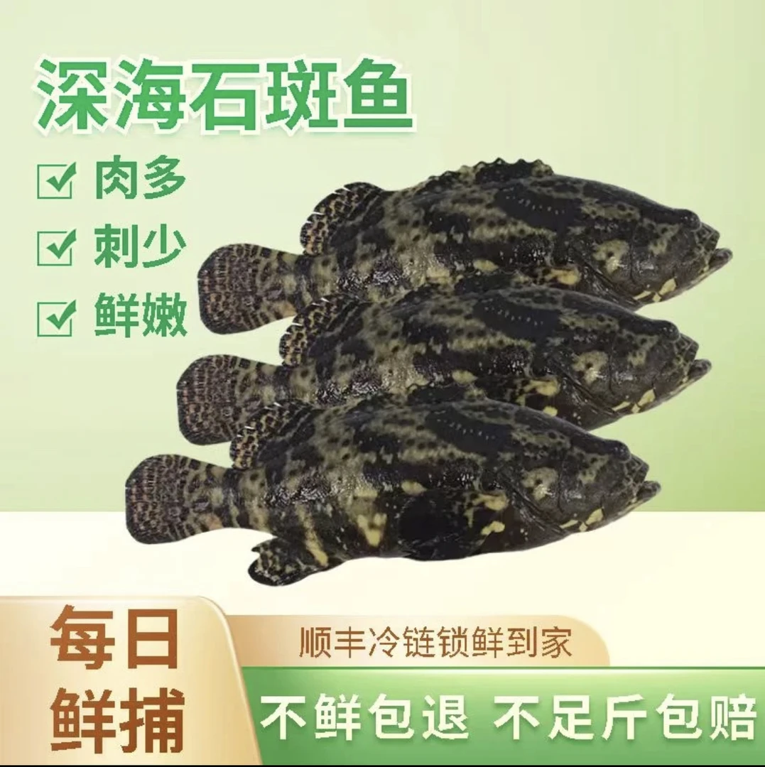 4.5斤6条《杀好约4.斤》一条约6-8两深海龙胆石斑鱼鲜活速冻鲜嫩