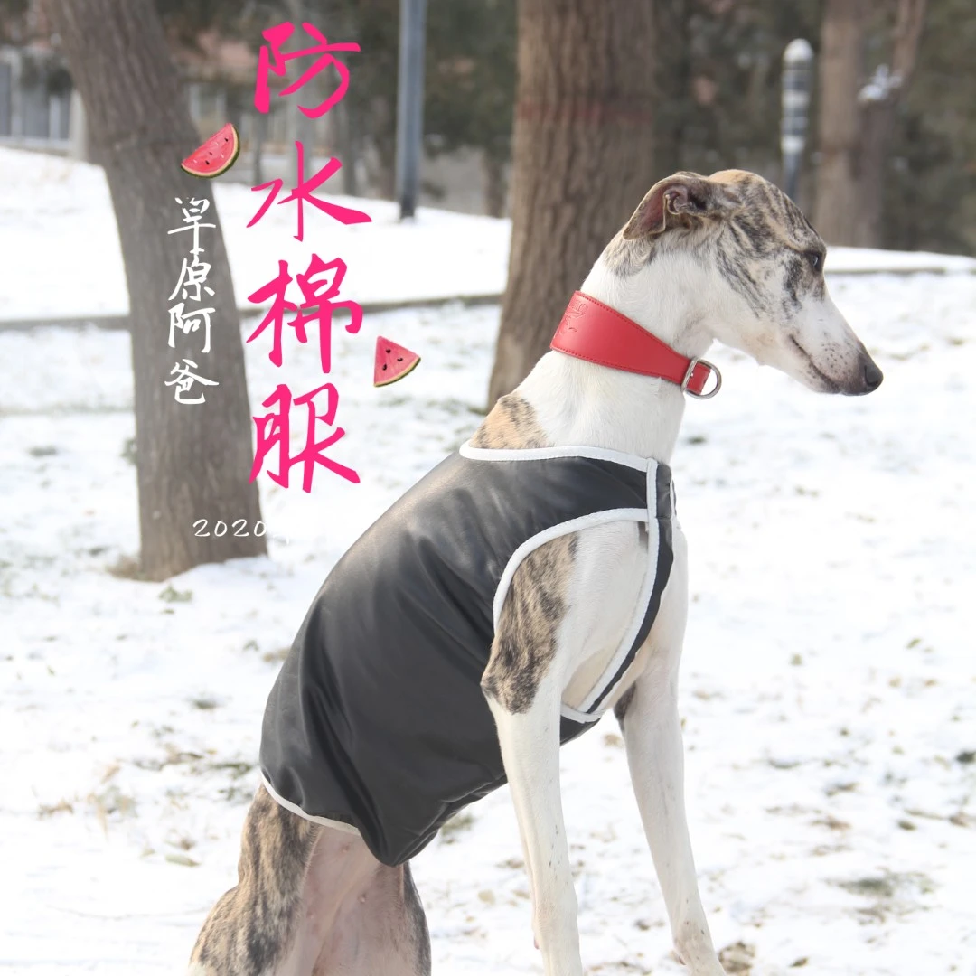 赛犬冬季防水棉服加绒加厚保暖防雨防雪格力惠比特格惠细狗使用
