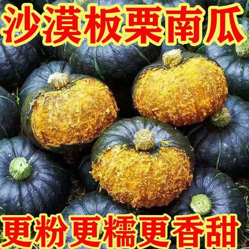 【ZB】板栗南瓜软糯香甜新鲜上市价格亲民产地直发