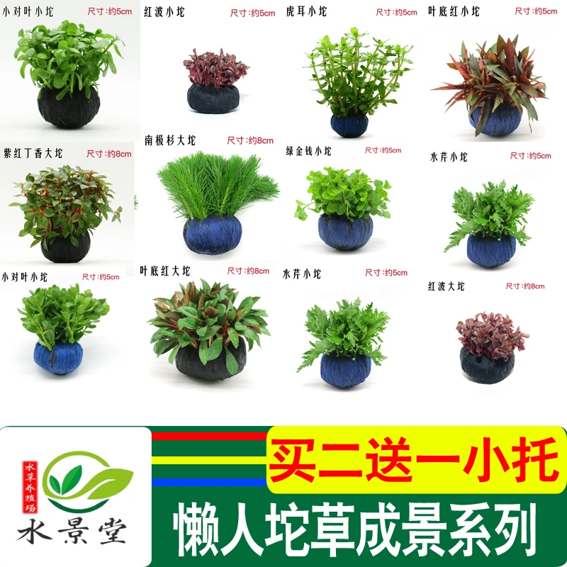 水下叶坨草鱼缸水草活体阴性新手造景水草植物懒人水草增氧水草