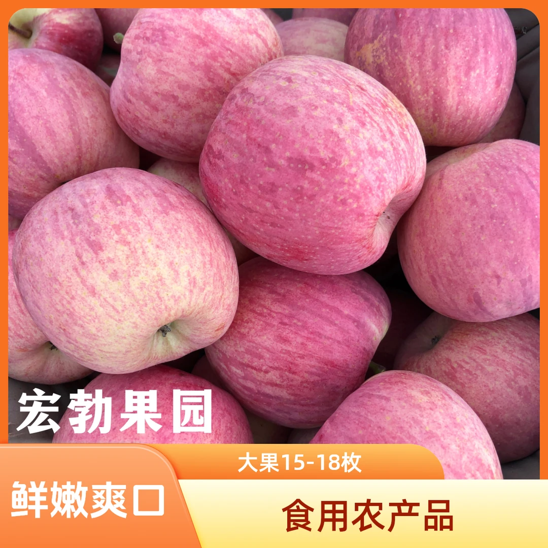大果庆阳红富士,酸甜可口【带箱十斤】大果15-18枚优质脆甜多汁苹果