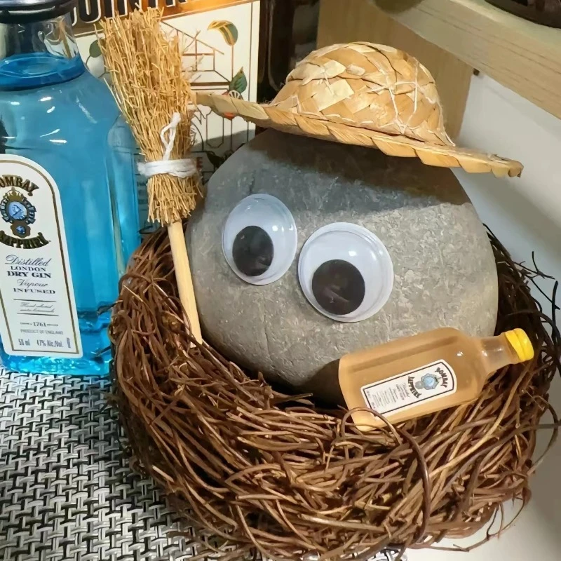 宠物石头纯天然鹅卵石可爱风养石头网红石宠解压陪伴好伙伴小石头