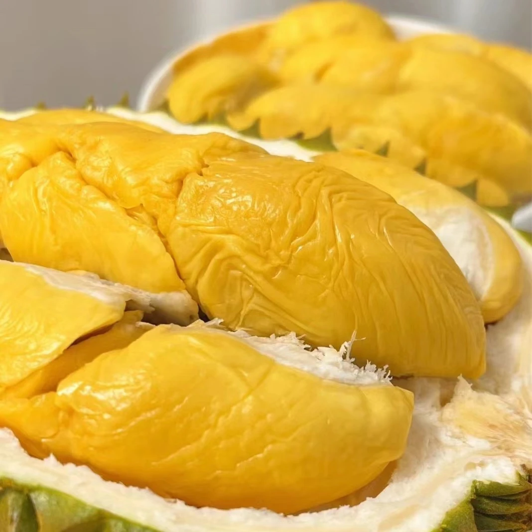 树熟金枕榴莲一个