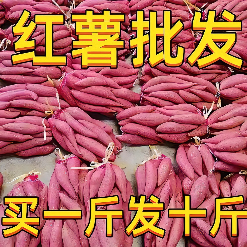 【主播推荐】超甜沙地红薯新鲜红心黄心蜜薯地瓜1-9斤番薯蔬菜水果