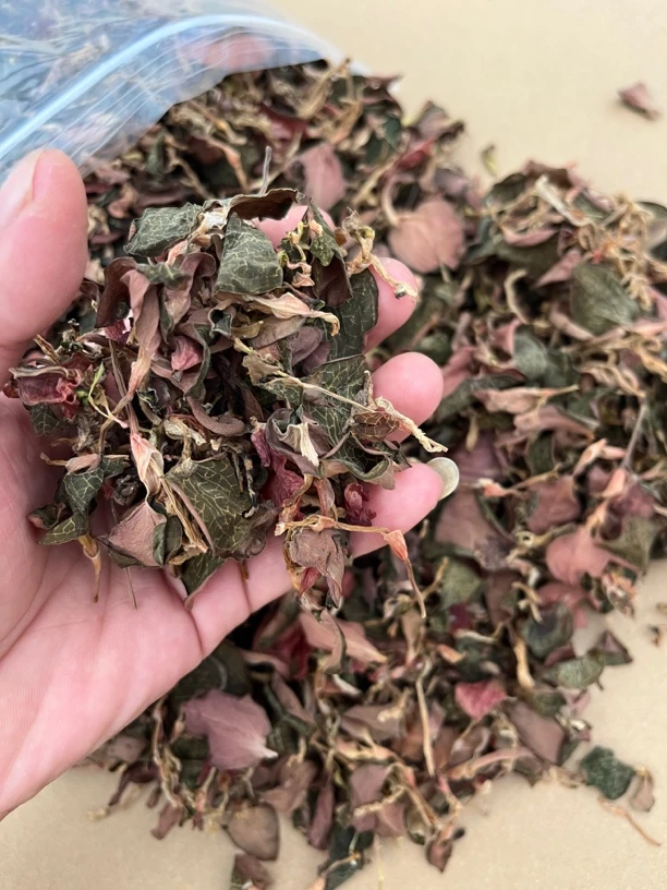 金线莲干货碎品10克装