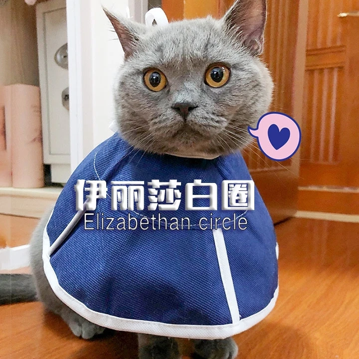 猫咪伊丽莎白圈防舔无纺布宠物项圈软脖圈加深伊利沙白绝育猫头套