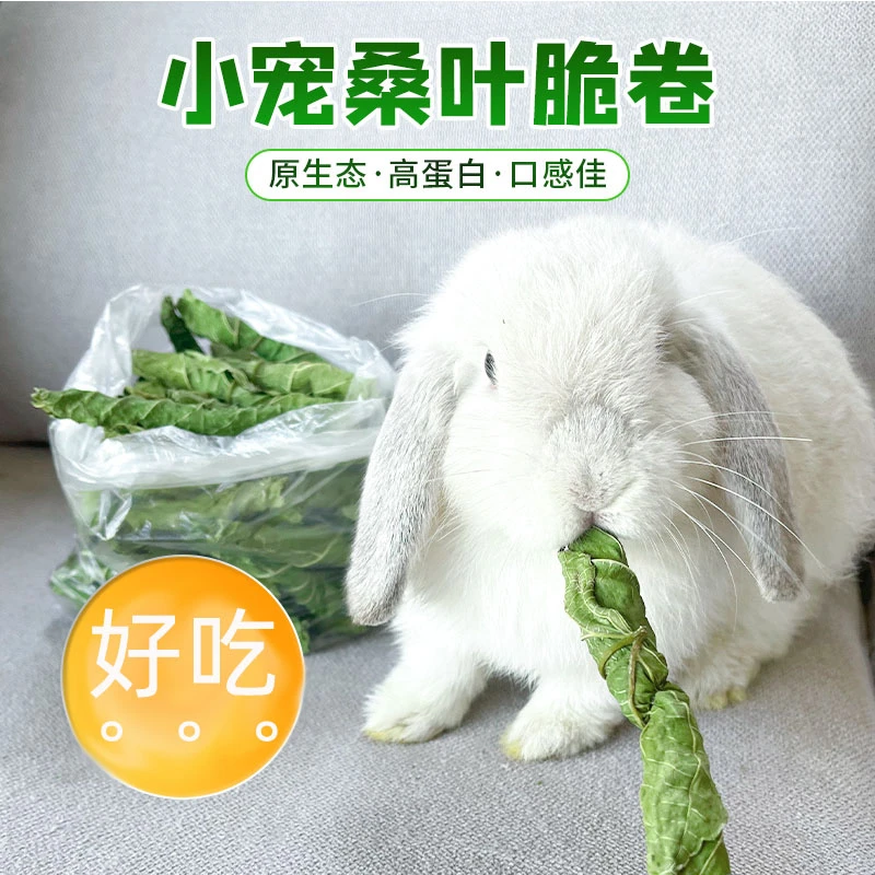 兔子补充营养烘干手摘桑叶卷龙猫荷兰猪磨牙零食含蛋白质氨基豚鼠