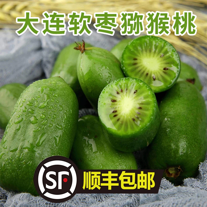 【大果】大连软枣猕猴桃新鲜采摘现发顺丰包邮超甜软糯酸甜2斤