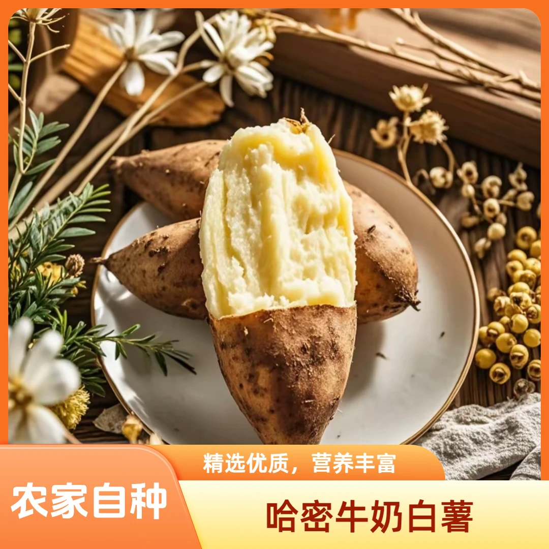 山东正宗哈密冰糖白心蜜薯红薯新鲜白心牛奶蜜薯农家沙地番薯地瓜