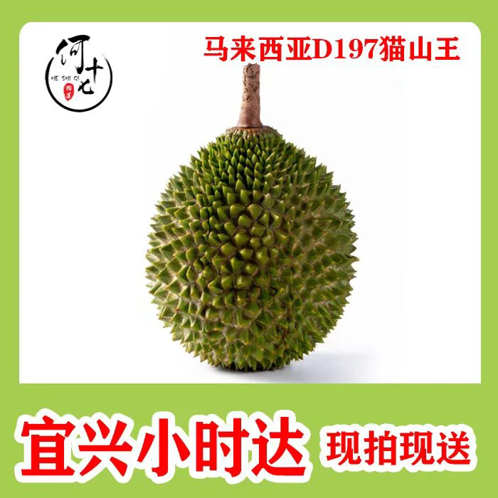 【整果】2.8-3.0斤马来西亚新鲜树熟液氮锁鲜D197猫山王榴莲保4房（下单默认开果）核小猫山王马来西亚