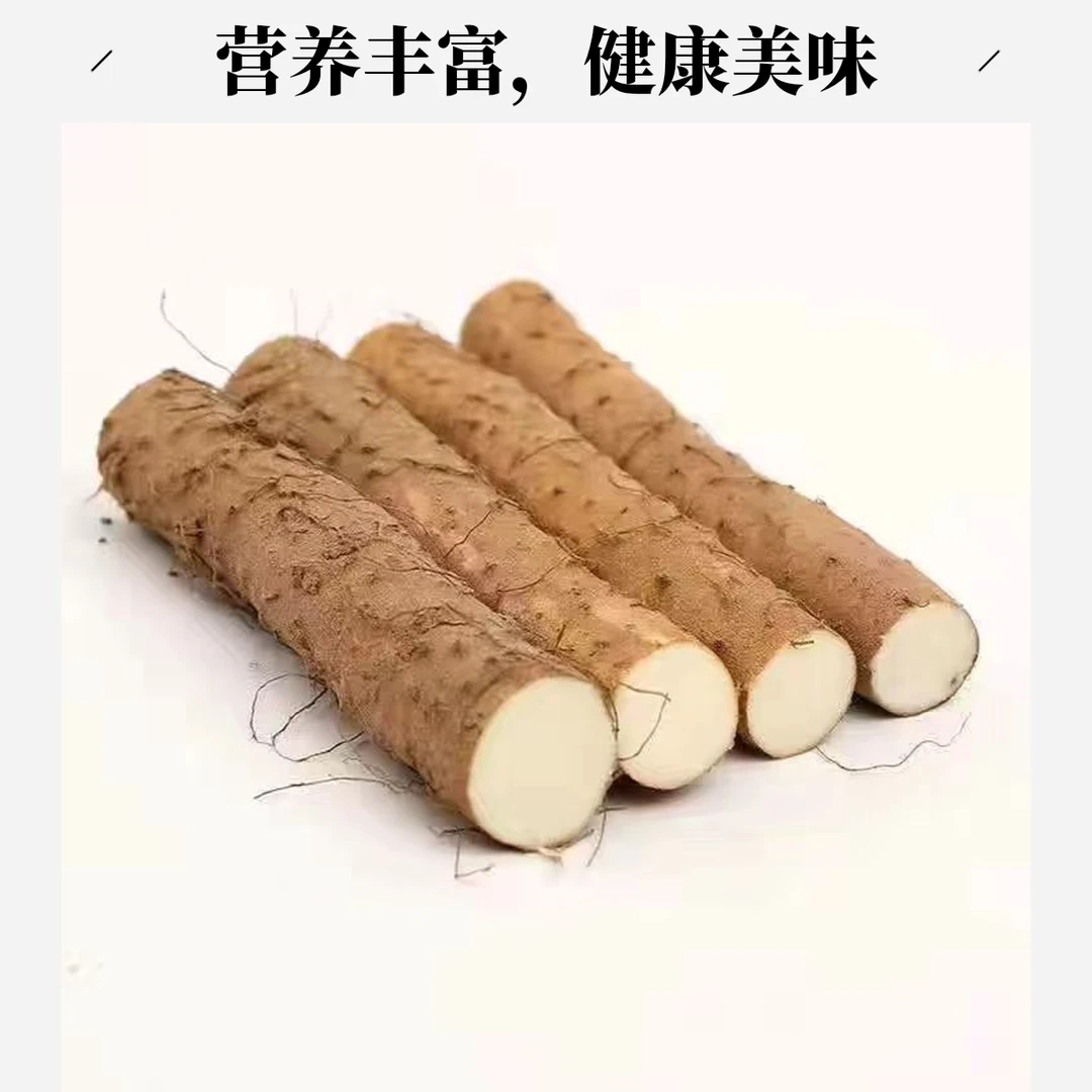 新鲜铁棍山药产地直达垆土种植软糯香甜小根小果30cm左右五斤装