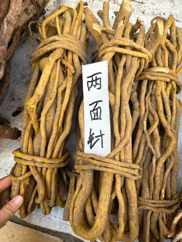 两面针广西山货两面针根双面刺两背针根部干两面针