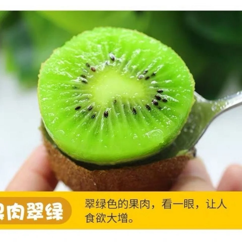 【满乡喜】 陕西徐香猕猴桃大果70-130g新鲜水果绿心猕猴桃整箱