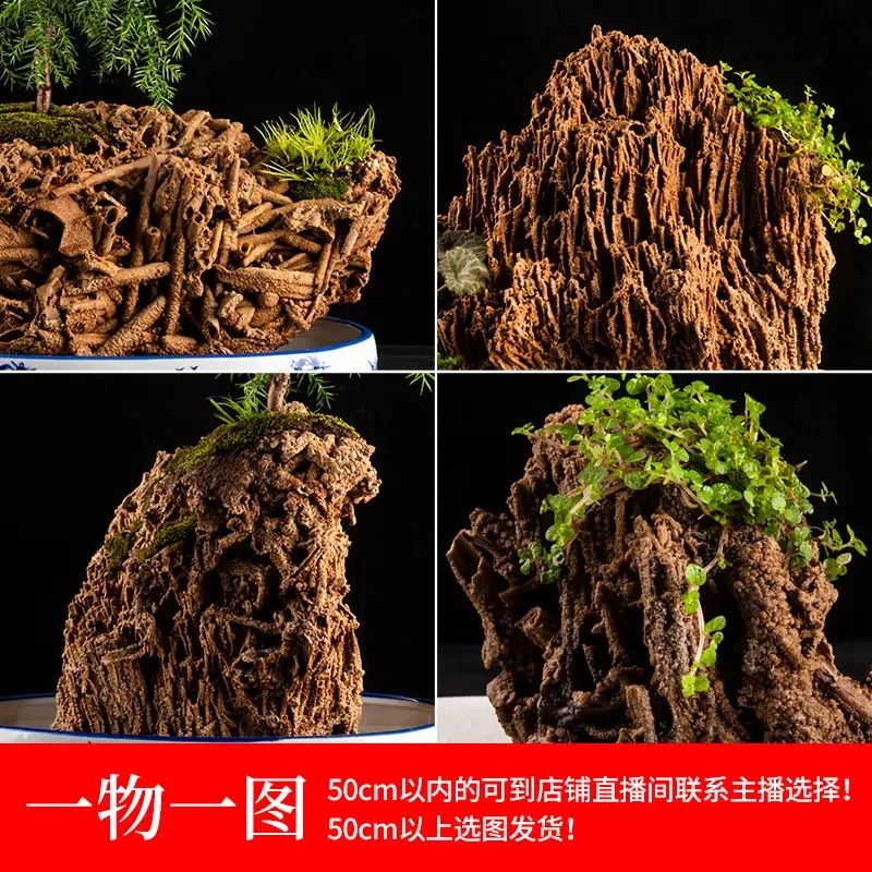 吸水石(麦管石)直播间选石下单-请按照对应的金额下单即可