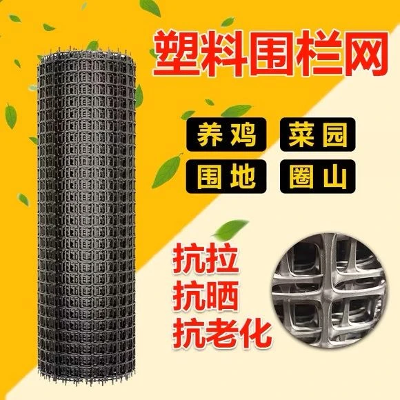 塑料网养鸡鸭养兔羊养殖圈地菜园果园鱼塘防护玉米围栏网耐用加厚