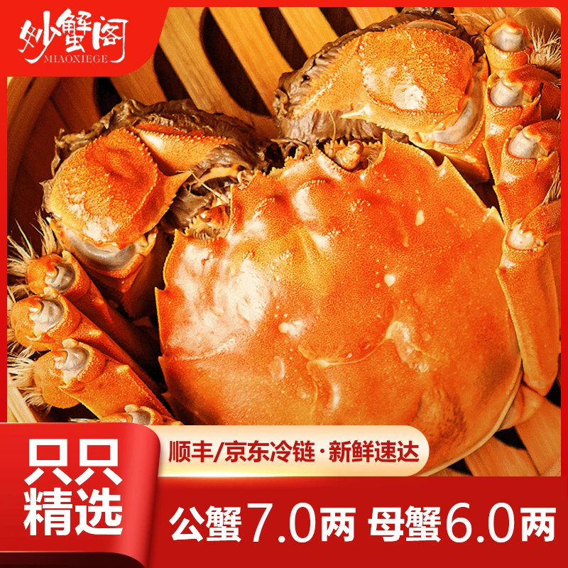【活蟹】妙蟹阁大闸蟹 公蟹7.0两 母蟹6.0两 2对4只装  顺丰包邮
