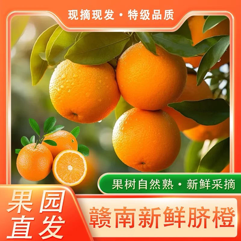 赣南脐橙自家种植正宗江西赣南脐橙寻乌产地直发新鲜采摘脆嫩爆汁