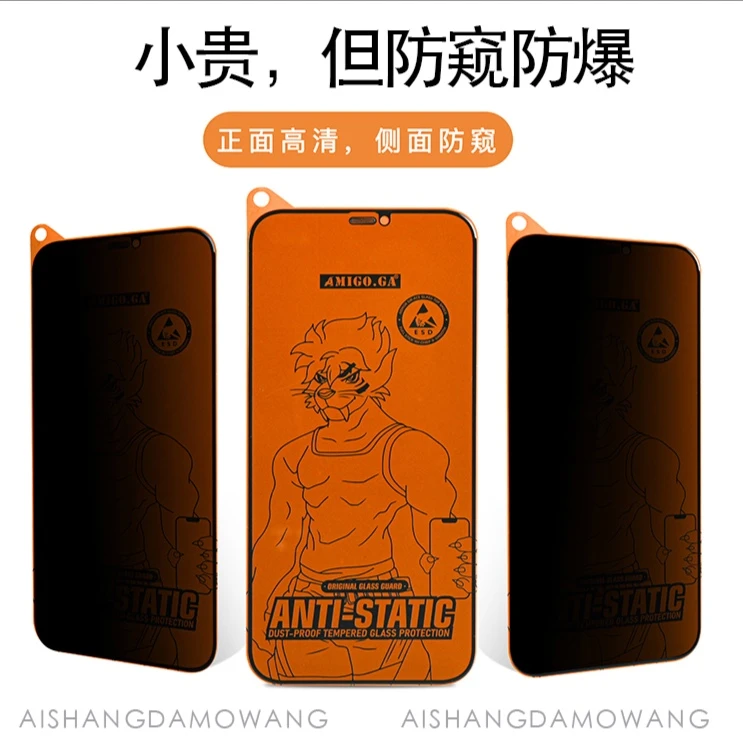 【大魔王】适用于苹果印26°防窥全包高清防静电钢化膜两片装防窥膜