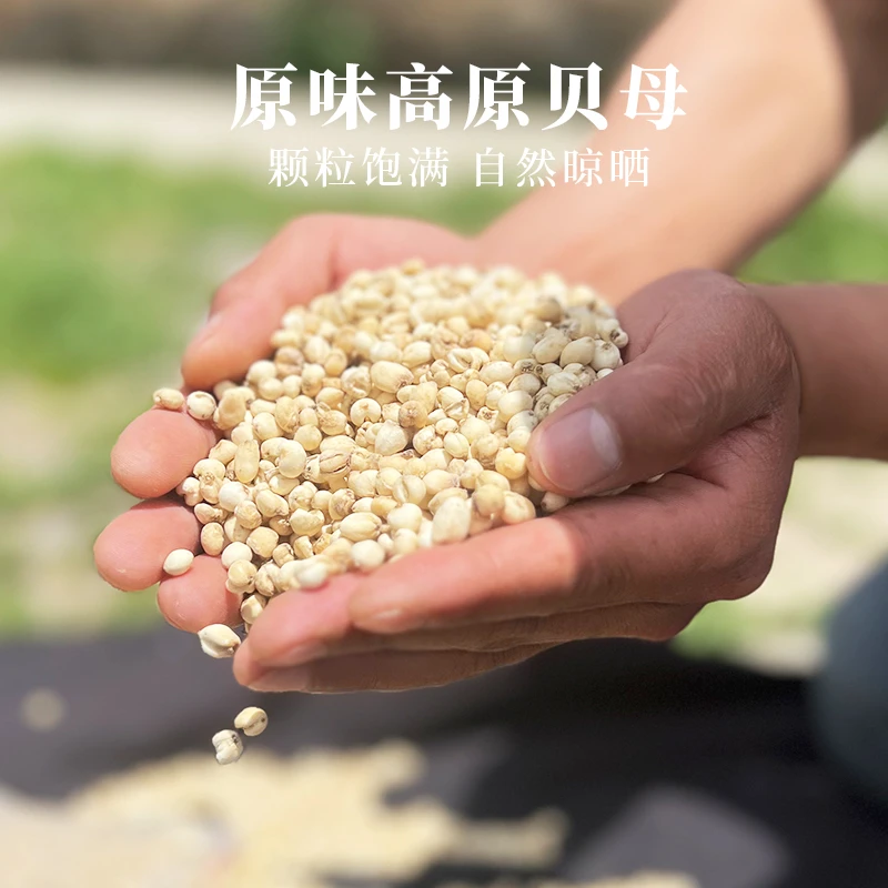 【雪域专属】高原农家贝母50g家庭装炖煲煮汤 研磨粉炖煲汤煮雪梨