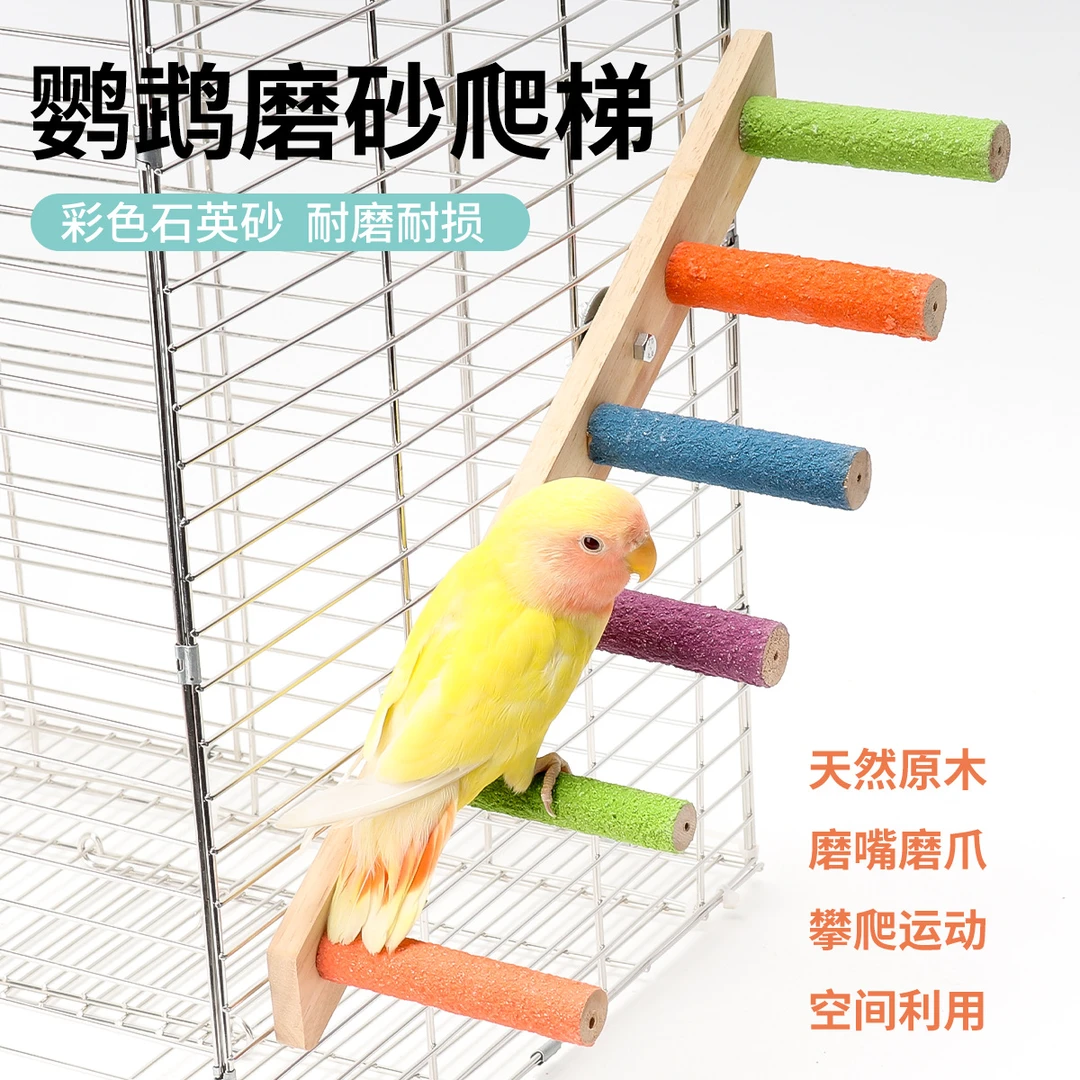 鹦鹉玩具小鸟云梯木梯互动爬梯磨爪嘴虎皮牡丹攀爬绳秋千