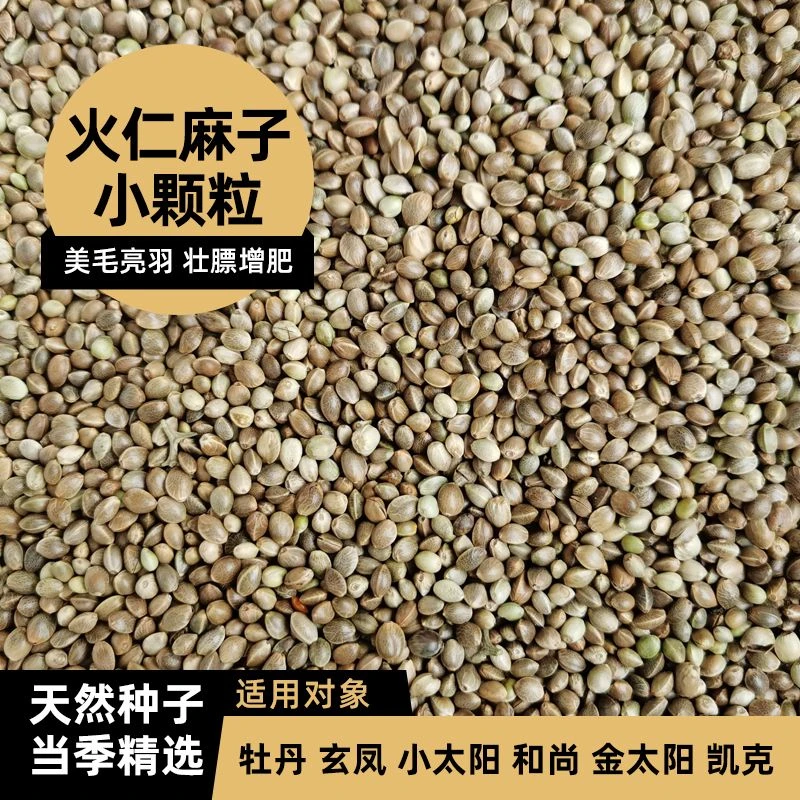 鹦鹉鸟粮火仁麻子小颗粒增肥零食训练奖励玄凤牡丹小太阳和尚鸟食