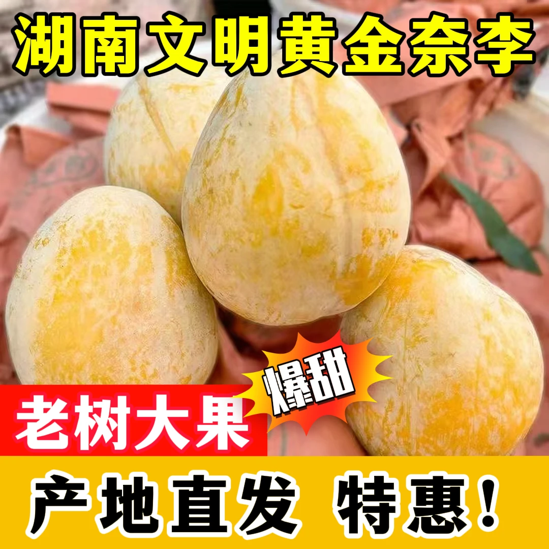 汝城文明清爽黄金奈李新鲜水果现摘现发孕妇水果甜脆多汁整箱包邮