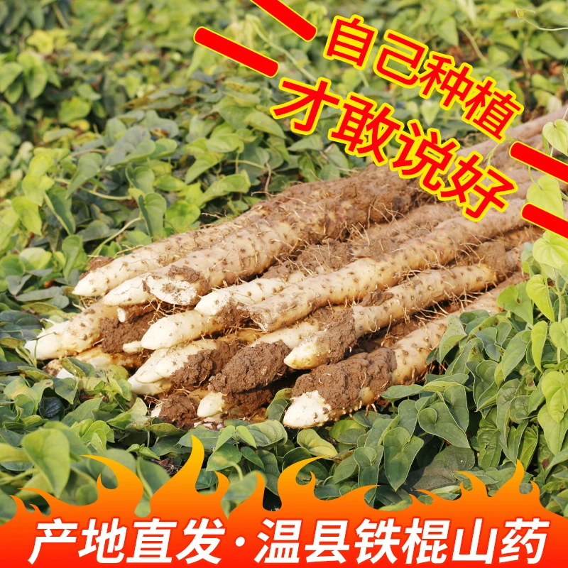 易享春正宗河南焦作温县垆土铁棍山药怀山药3斤-5斤装原产地山药