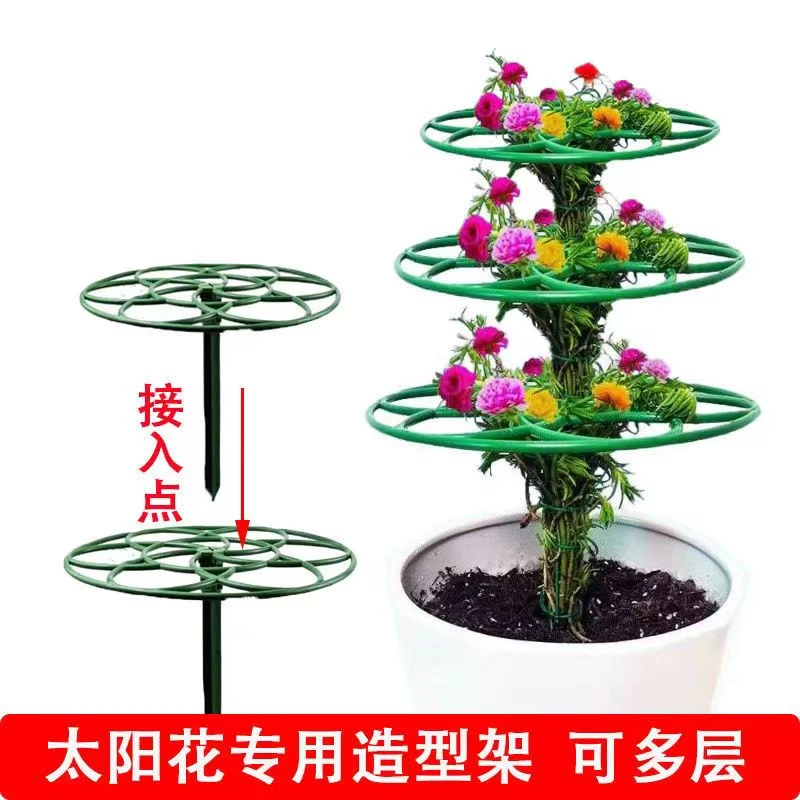 太阳花简约造型架多层耐用结实简单安装支撑架爬藤植物固定花架