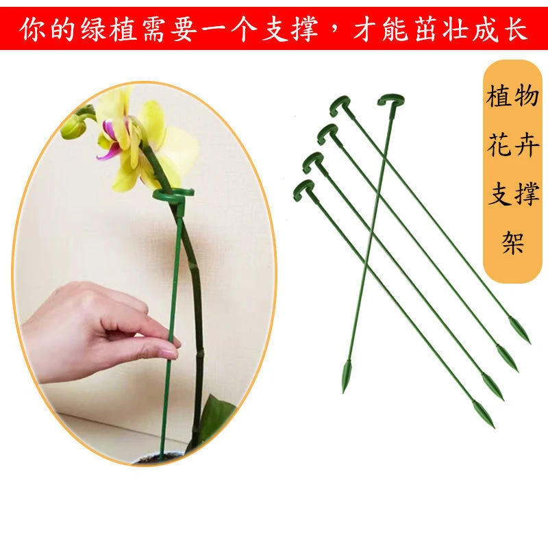 新款蝴蝶兰多肉花架支架植物盆栽花卉造型支撑杆固定防倒伏护叶架