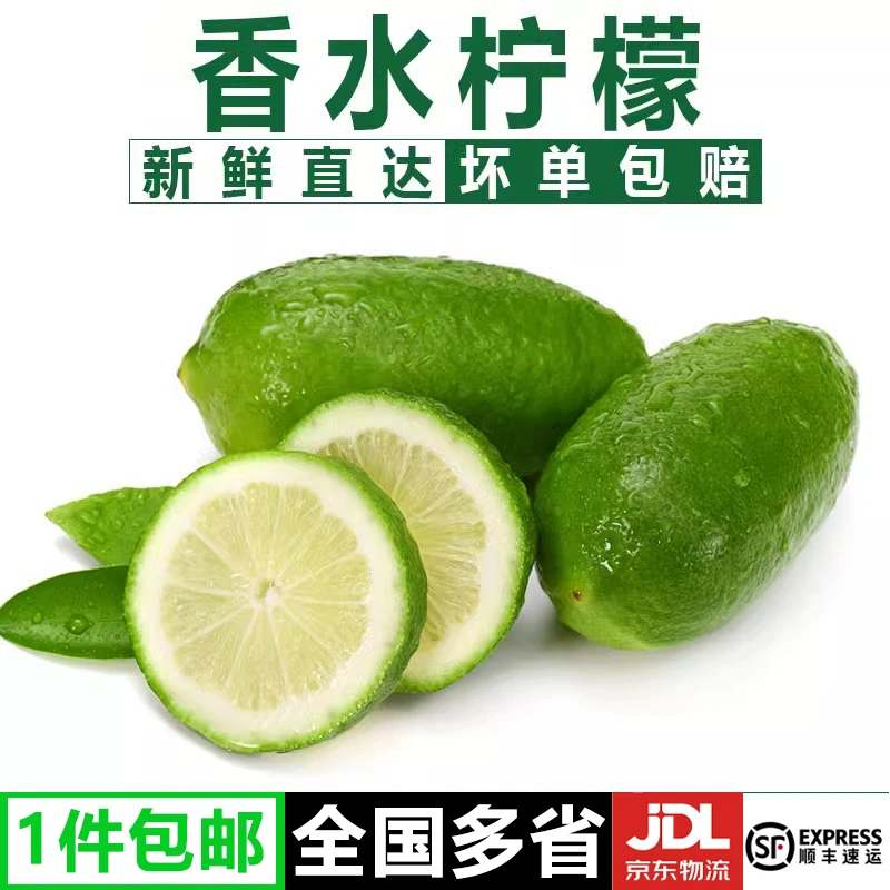 无籽香水柠檬水果500g海南香水无籽青柠檬新鲜四季青柠