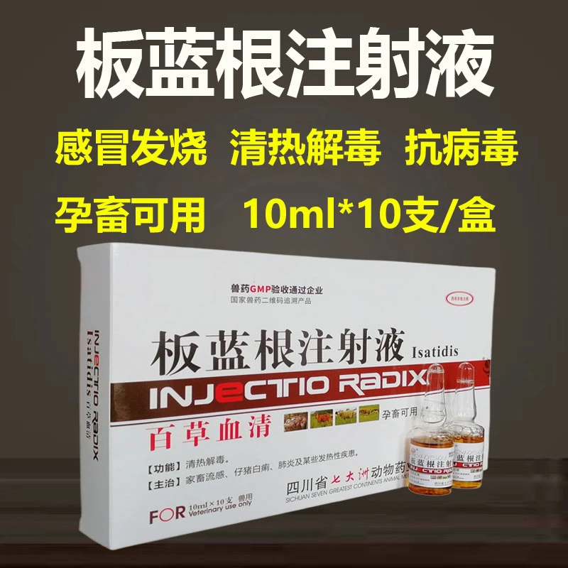 兽药板蓝根注射液牛羊猪抗病毒狗宠物感冒流鼻涕呼吸道清热退烧