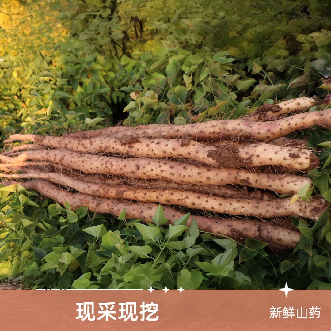 新鲜现挖温县垆土怀山药铁棍山药萝卜干粉糯香甜河南焦作净重5斤