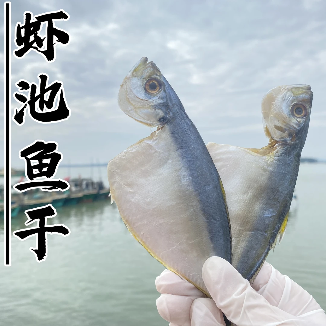 虾池鱼干 黄尾池鱼干 淡晒六七成干 广东阳江鱼干 海产干货 500g