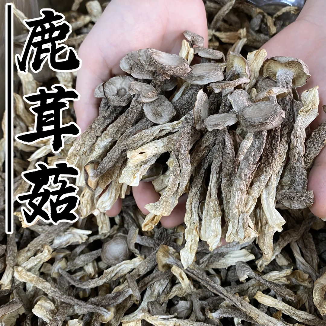 鹿茸菇 脆脆菇 菇菌蘑菇干货 香菇食用菌 煲汤鲜香美味 250g包邮