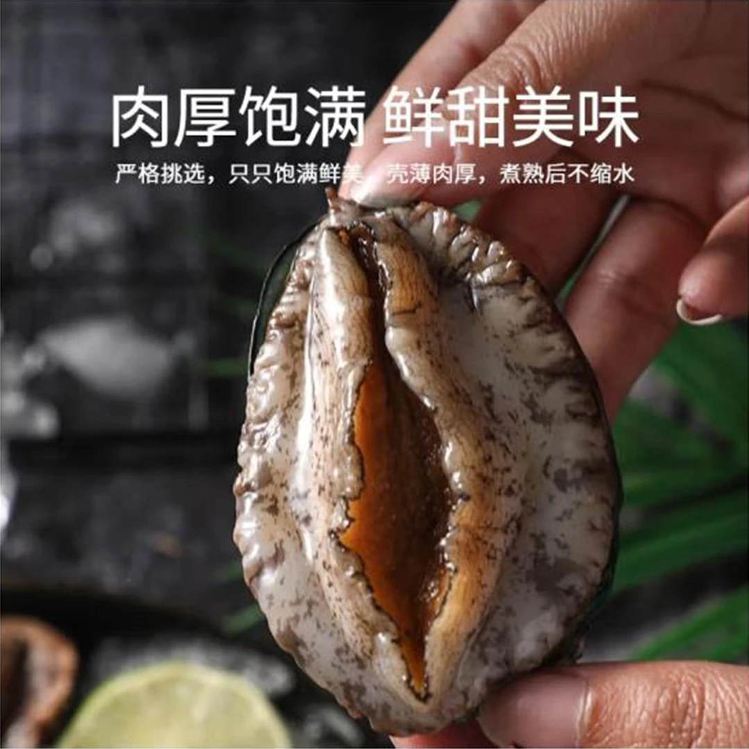 港岛姑娘鲍鱼 400克 鲜活冷冻鲍鱼 顺丰发货 东山岛海鲜 黑金鲍鱼