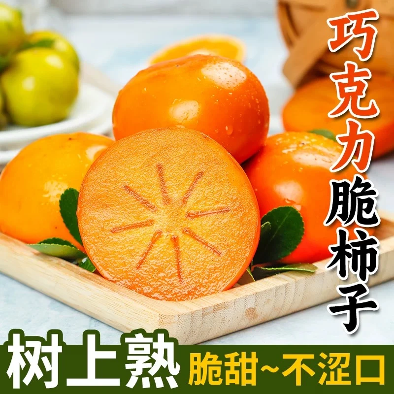【现摘现发】正宗阳丰脆柿巧克力脆柿子脆甜不涩口精选新鲜Y