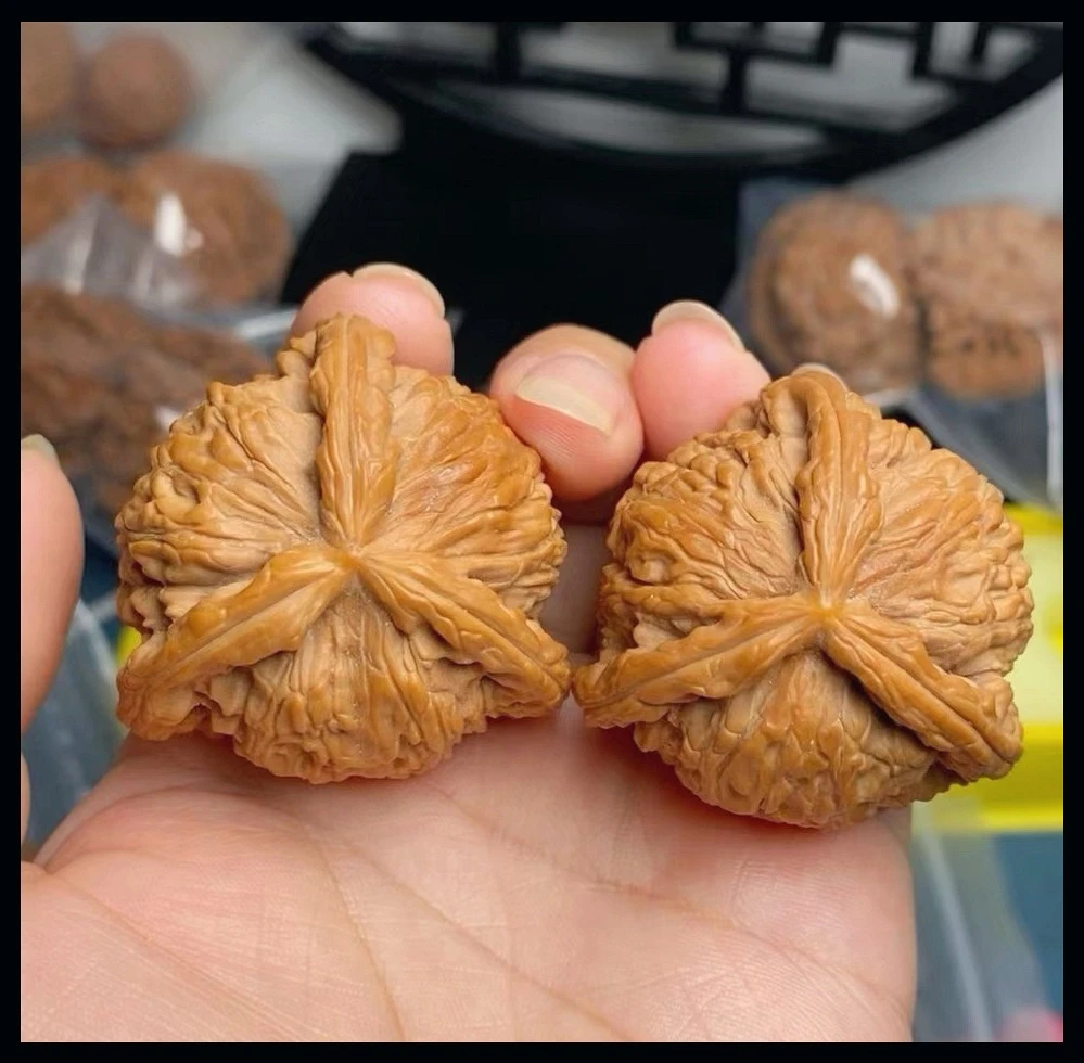 涞水文玩核桃白狮子三棱