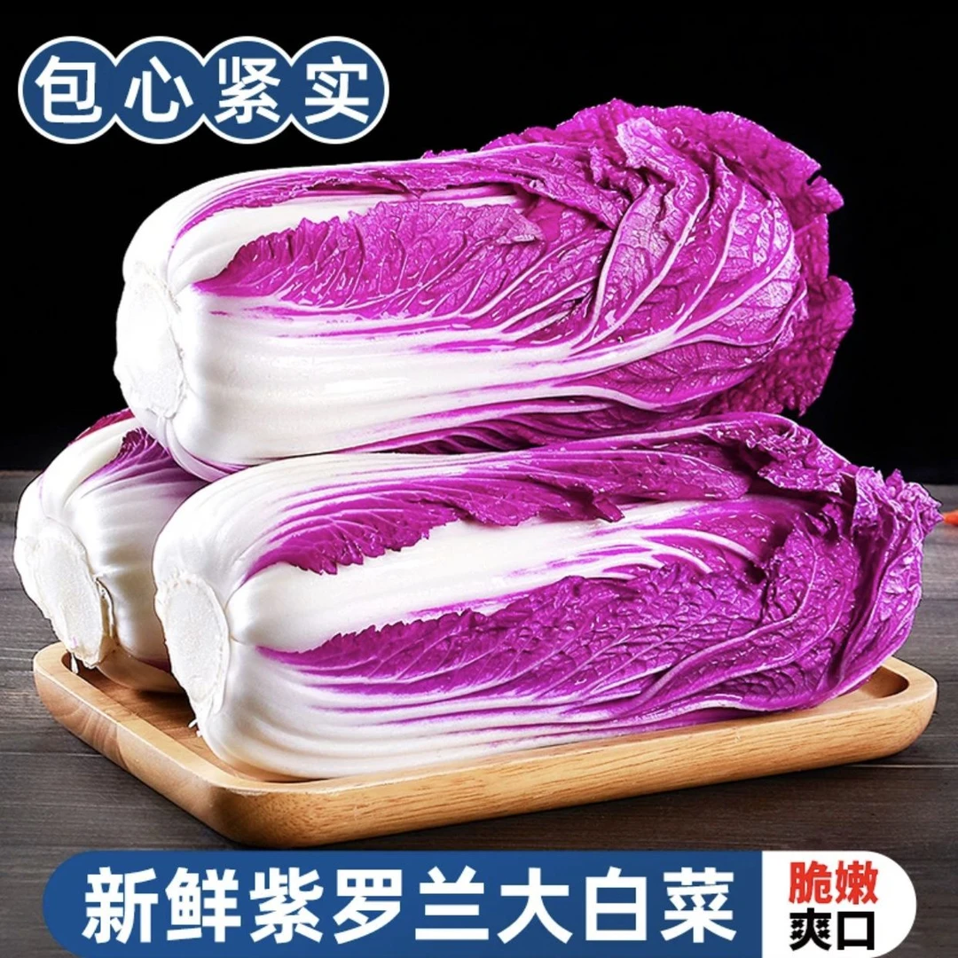 寿光农家紫罗兰白菜花青素紫色白菜卷心菜蔬菜自然熟产地直发包邮