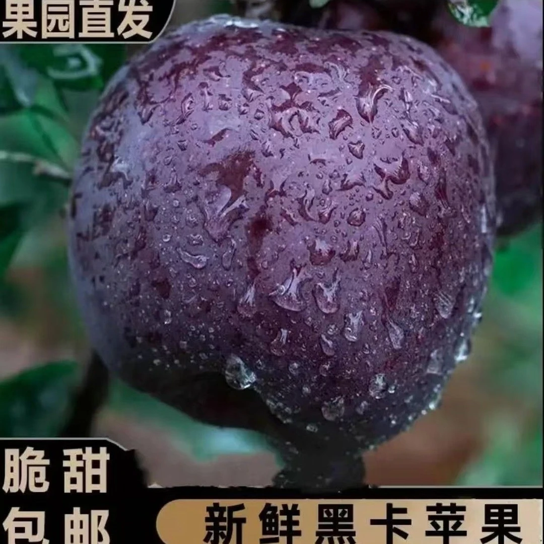 云南黑卡苹果新鲜现摘脆甜嘎啦黑钻苹果整箱水果包邮