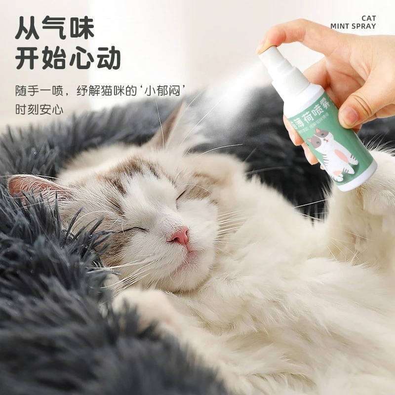 现货皮皮淘皮皮淘猫薄荷喷雾50ml猫咪趣味猫咪高兴互动玩具
