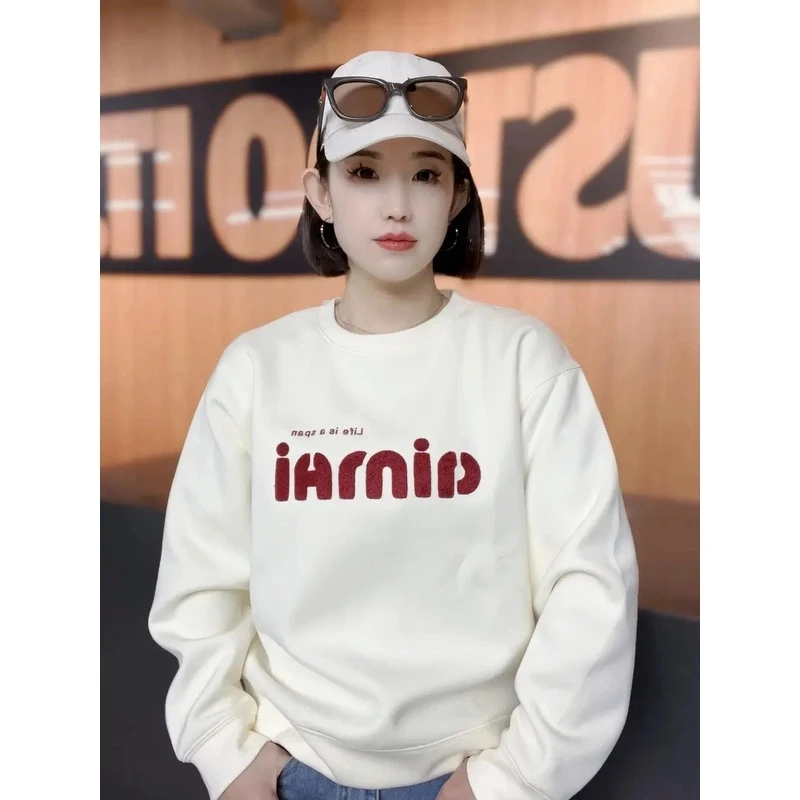 秋冬新款精致毛巾绣圆领长袖套头时尚百搭高级感穿搭卫衣女WY401