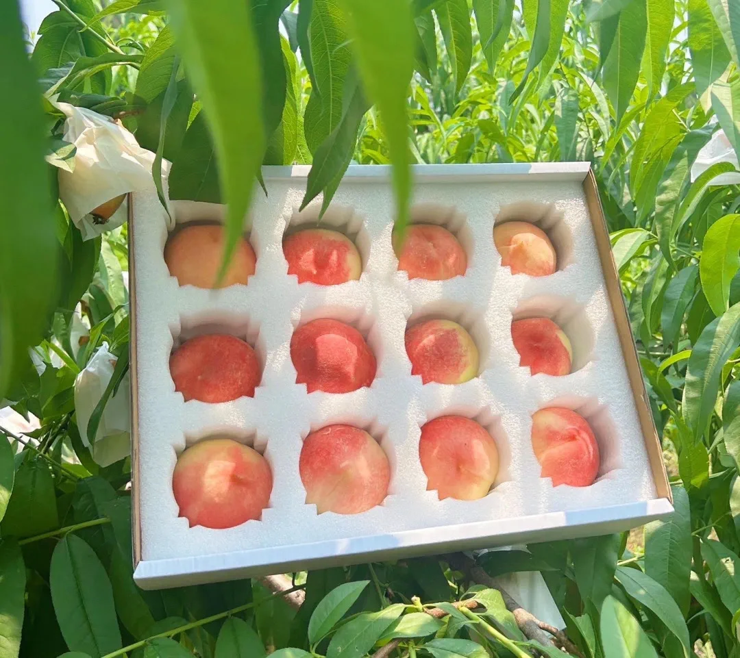 【爆甜】头茬红心桃脆甜桃水果整箱批发直发当季孕妇可吃
